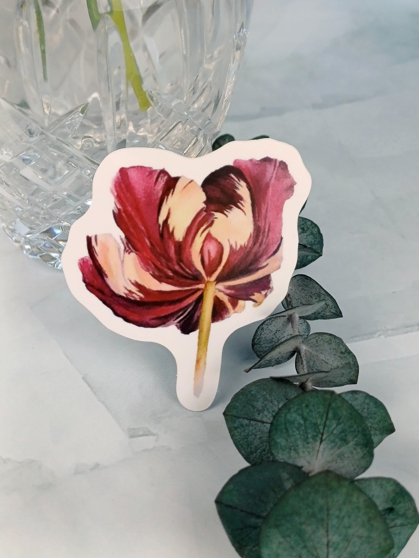 Frühlingsedition - Sticker "Papageien-Tulpe"