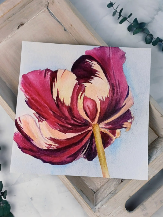 Frühlingsedition - Premium Art Print "Papageien-Tulpe" *limitiert*