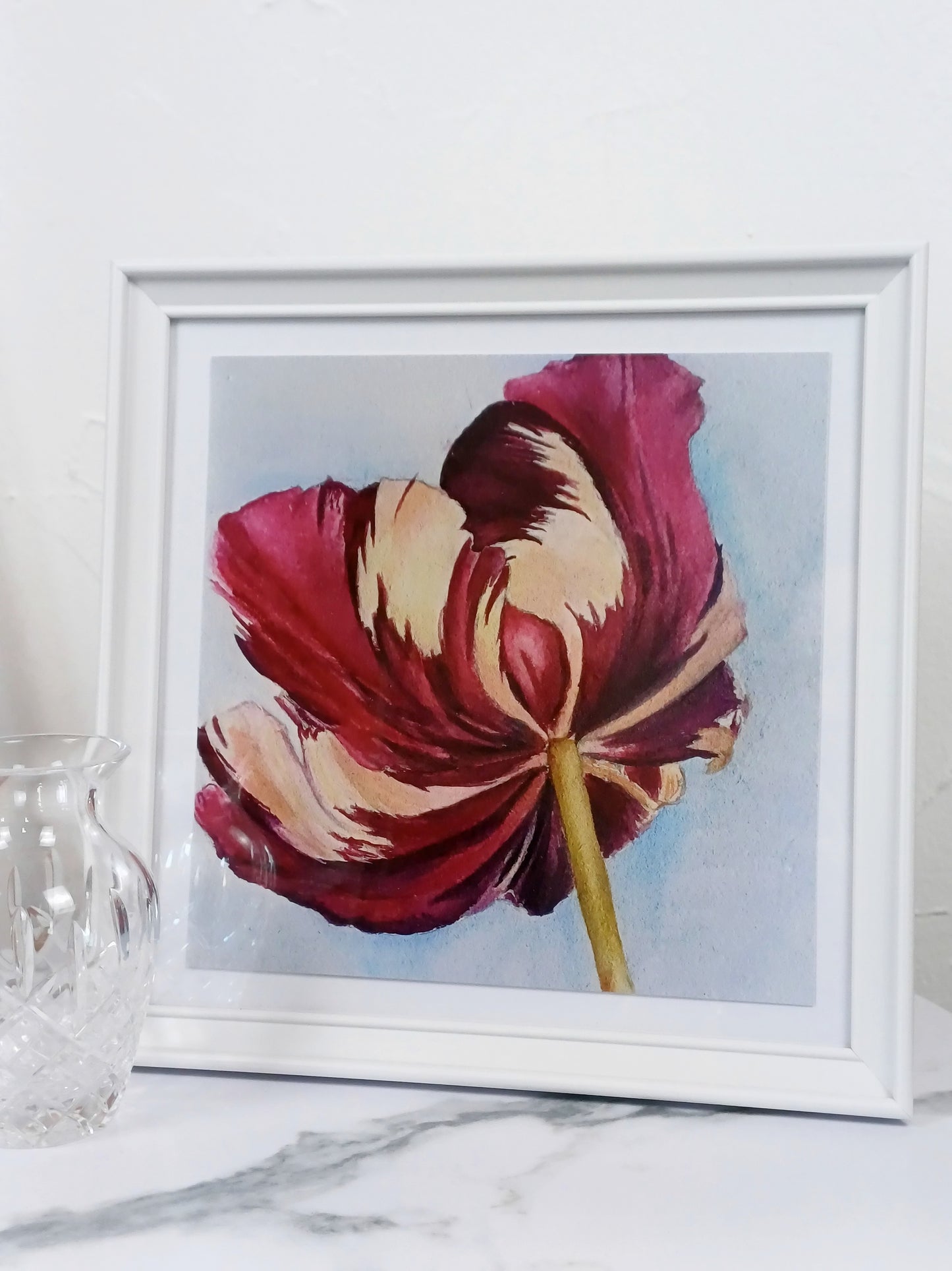 Premium Art Print "Papageien-Tulpe" *limitiert*